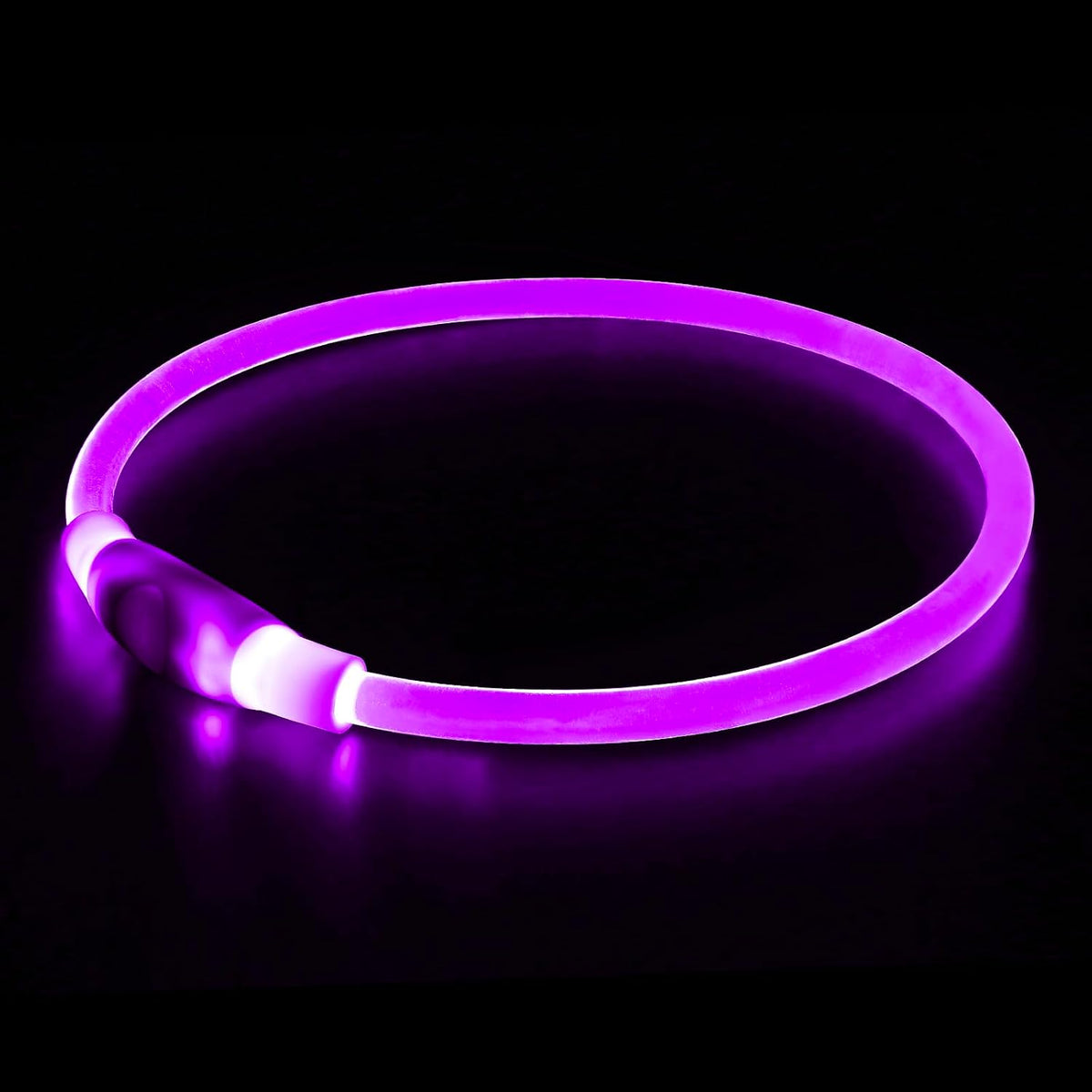 Light Up LED Dog Collar, USB Rechargeable Glow Collar for Night Walks