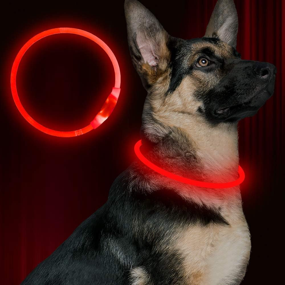 Light Up LED Dog Collar, USB Rechargeable Glow Collar for Night Walks