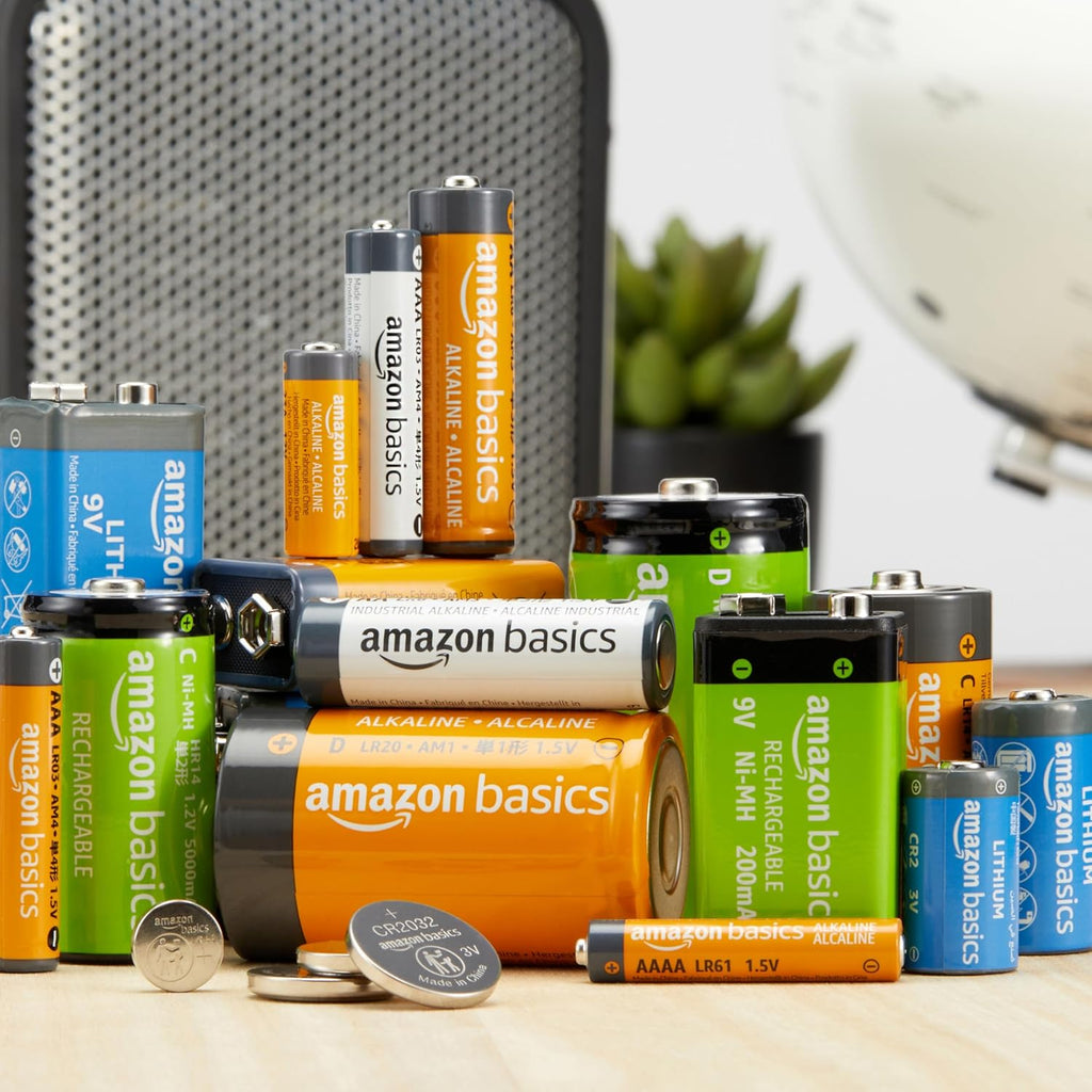 AA Alkaline Batteries, Long-Lasting 1.5V Double A Multi-Pack