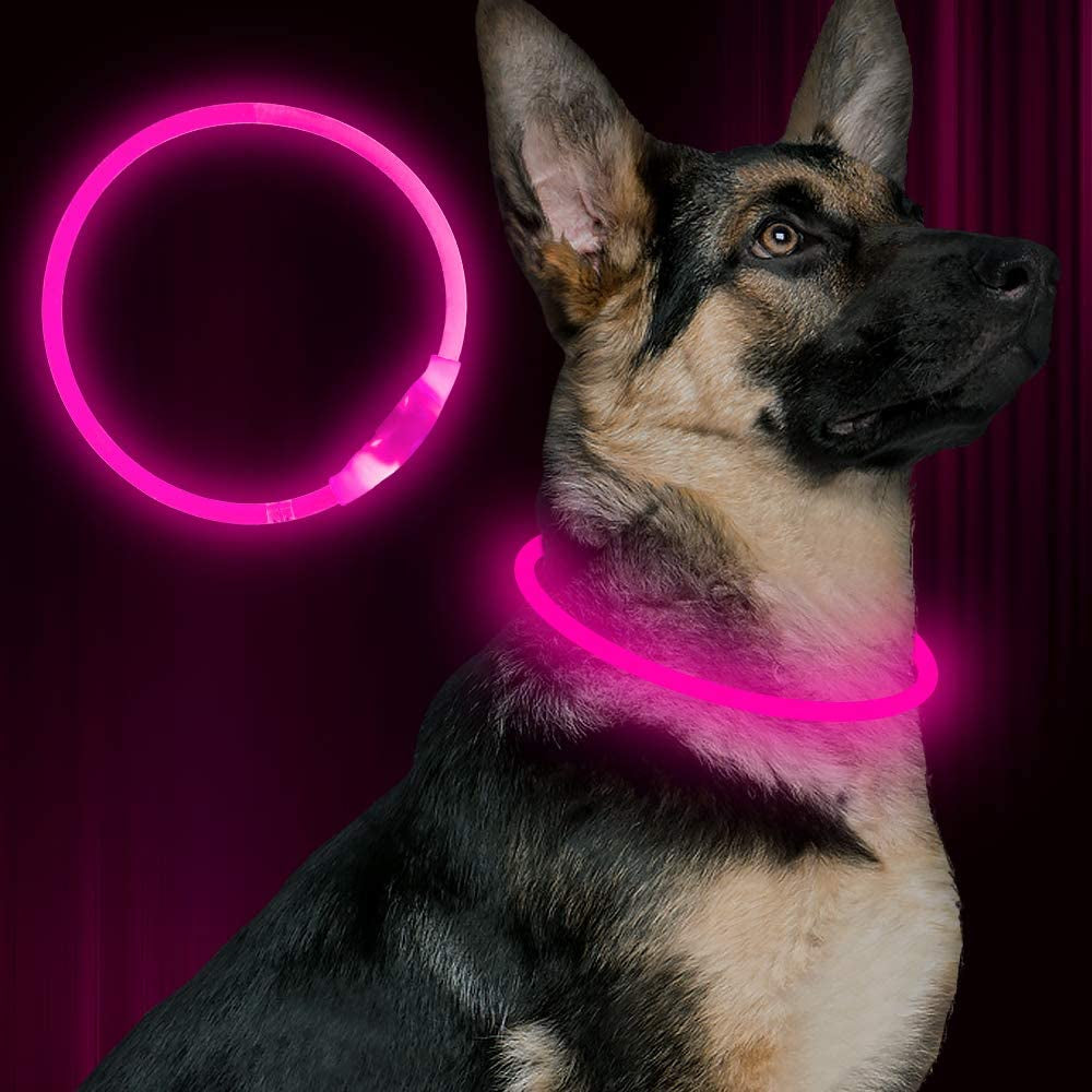 Light Up LED Dog Collar, USB Rechargeable Glow Collar for Night Walks