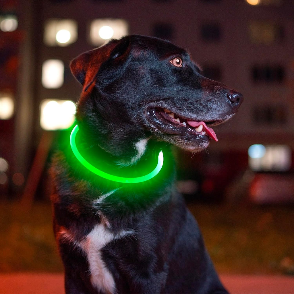 Light Up LED Dog Collar, USB Rechargeable Glow Collar for Night Walks